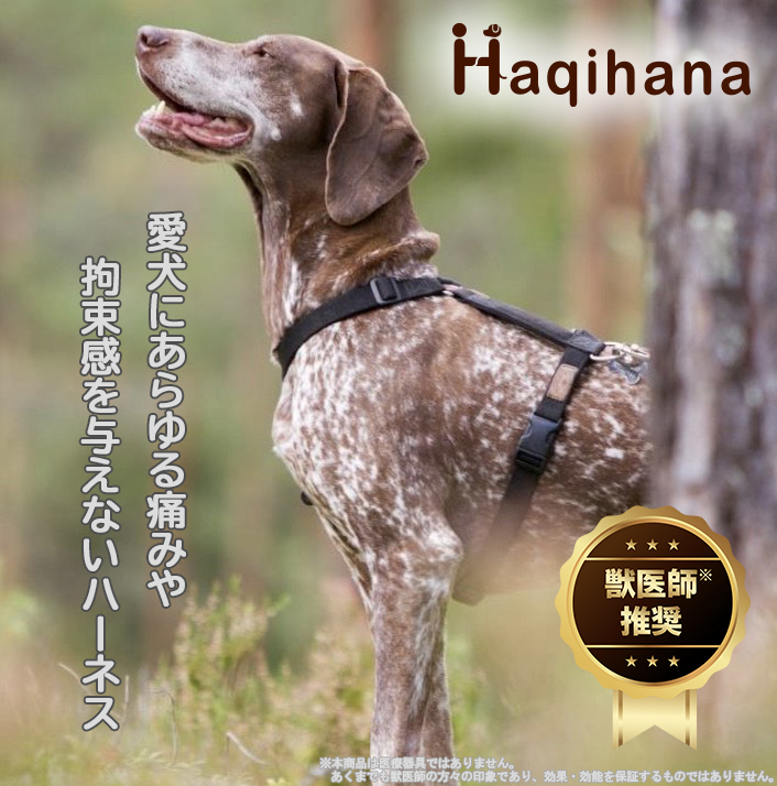 徹底比較 犬用ハーネスのおすすめ人気ランキング18選 Mybest