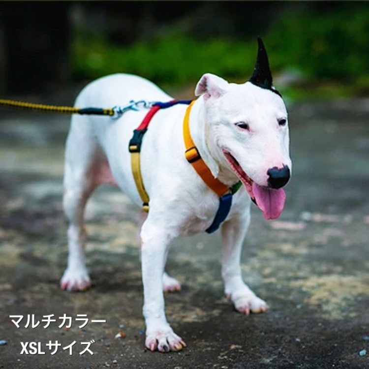徹底比較 犬用ハーネスのおすすめ人気ランキング18選 Mybest