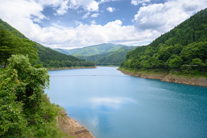 理由②:日本の水道水は軟水だから