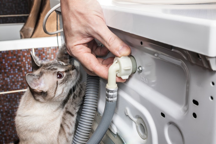 猫にウォーターサーバーの水をあげても大丈夫?水道水との違いや 猫にウォーターサーバーの水をあげても大丈夫?水道水との違いや