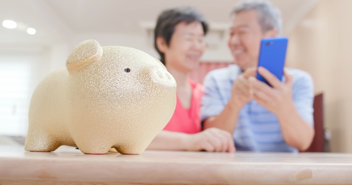 被扶養者の所得にはならない