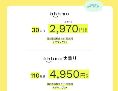 わかりやすいシンプルなプランで利用したい人はahamoがおすすめ