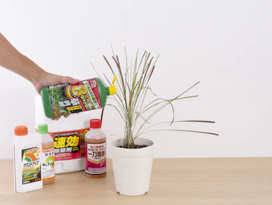 まとめ:「アースカマイラズ 草消滅」は、除草効果が高い&手軽に使えるNo.1除草剤です