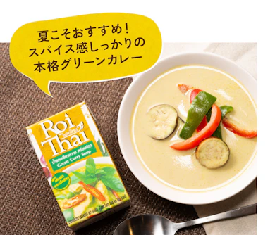 【おすすめ食品②】辛さが効いた本格グリーンカレー!冷やしそうめんでも旨いカルディの大定番
