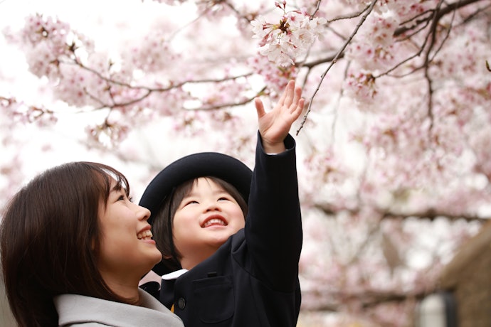 こどもNISAとは?いつから始まる?