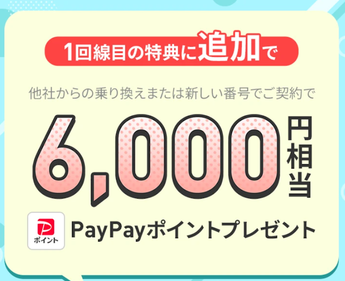 2回線まとめて申し込みすると、6,000円相当のPayPayポイントがもらえる