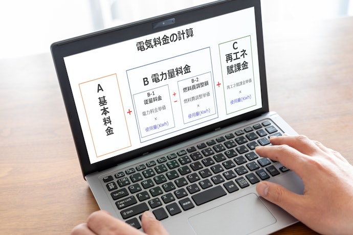 実際いくら払っている?再エネ賦課金の計算方法と明細の見方