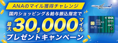 最大3万マイルでどこまで行ける?キャンペーンの概要をチェック