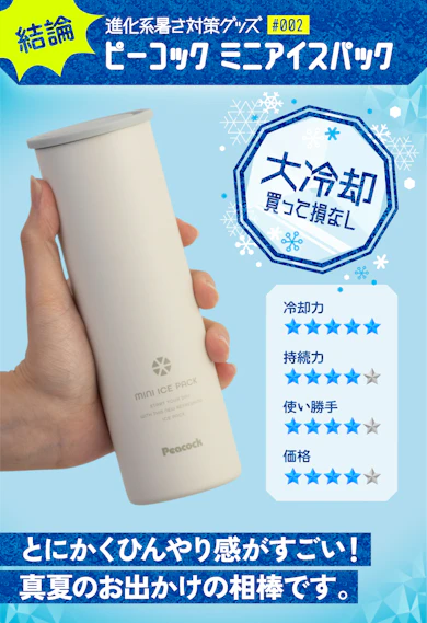 結論:どこまでもシンプル。手っ取り早くひんやりしたい、モノの管理ニガテ勢におすすめ