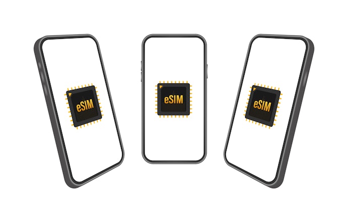 mineoのeSIMに対応している機種は?