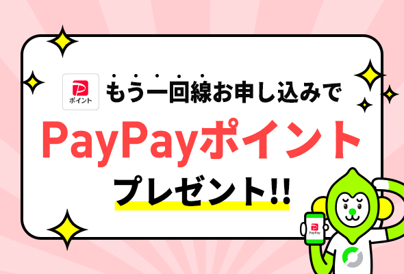 2台目専用のキャンペーンを実施することも!PayPayポイントでお得にはじめよう