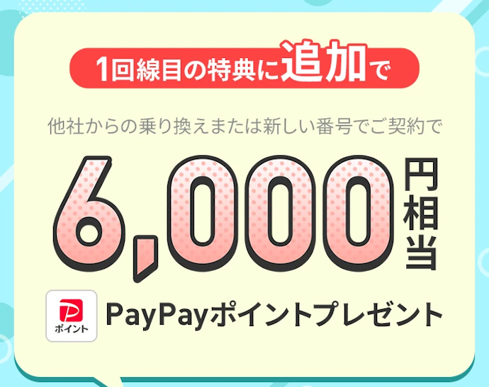 2回線まとめて申し込みすると、6,000円相当のPayPayポイントがもらえる