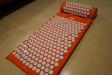 結論:2万5500円でも買い切りでずっと使える、脳のリセット器具としてアリ