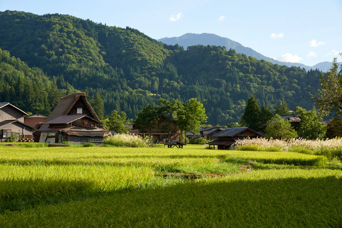 年金受給者もふるさと納税できる?条件や限度額を解説