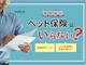 ペット保険はいらない?貯金とどちらが良い?後悔しないための知識を徹底解説