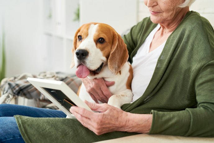 犬のペット保険は終身で加入できる?
