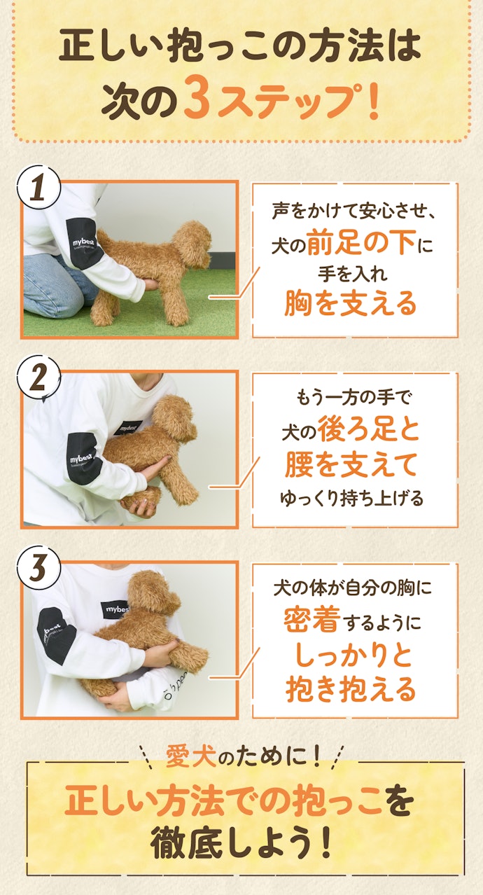 そもそも犬の正しい抱っこの方法は?