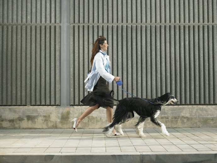伸縮リードの正しい使い方は?