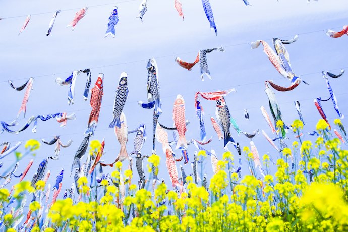 こいのぼりのお手入れ方法は?