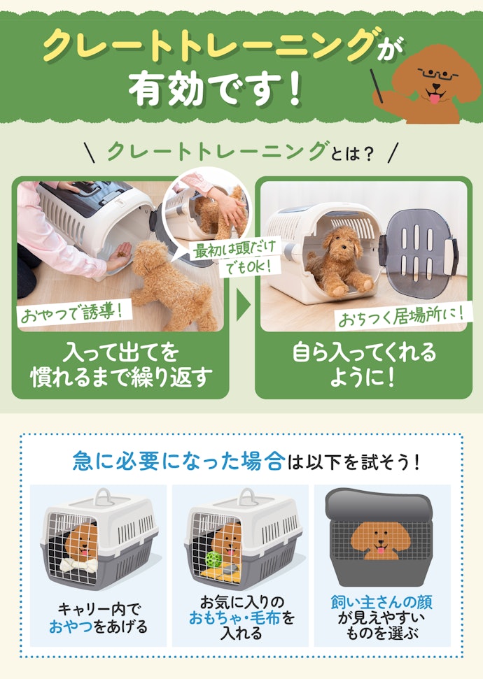 犬がキャリーを怖がるときはどうしたらいいの?