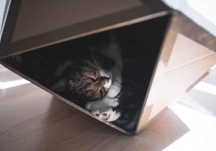 猫用ハウスは手作りできる?
