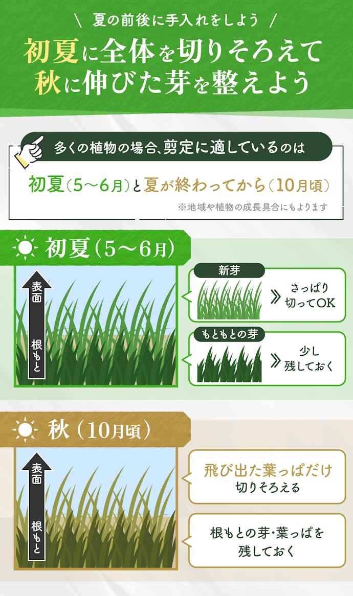 生垣を切るときのコツは?