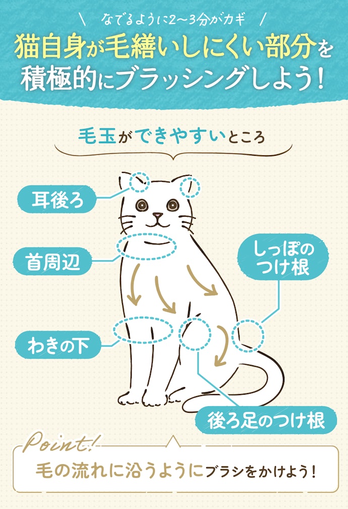 ブラッシングの方法とコツは?