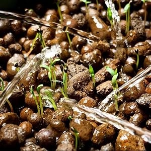 養液・スポンジ等の消耗品と植物育成LEDの周辺グッズもチェック