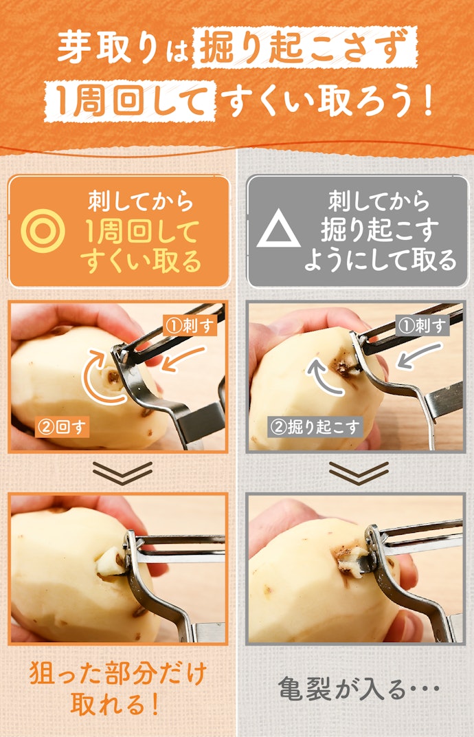 芽の取り方のコツとは?