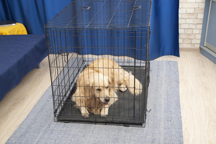 大型犬用ケージは中古で手に入る?