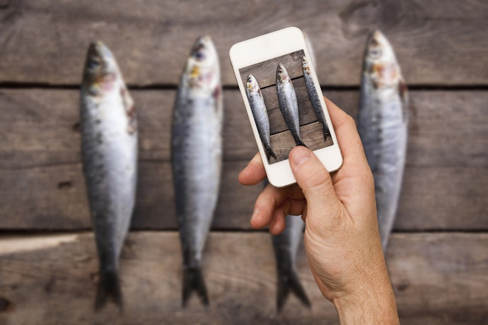 魚図鑑アプリを使うときの注意点は?