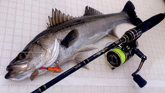 ボートシーバスロッドはほかの釣りに代用できる?