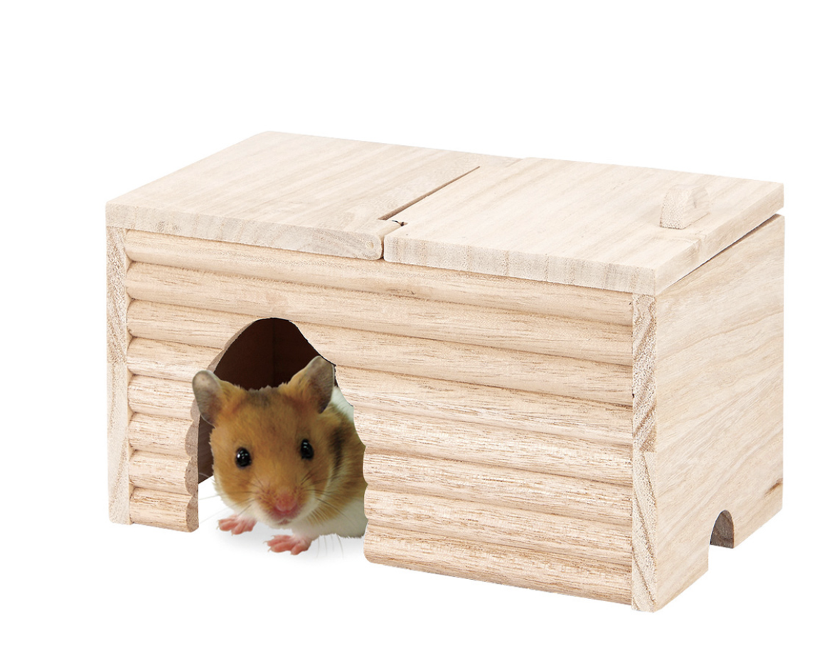 てん ハムスター　巣箱 HAMUTA ハムスターの巣箱 - メルカリ