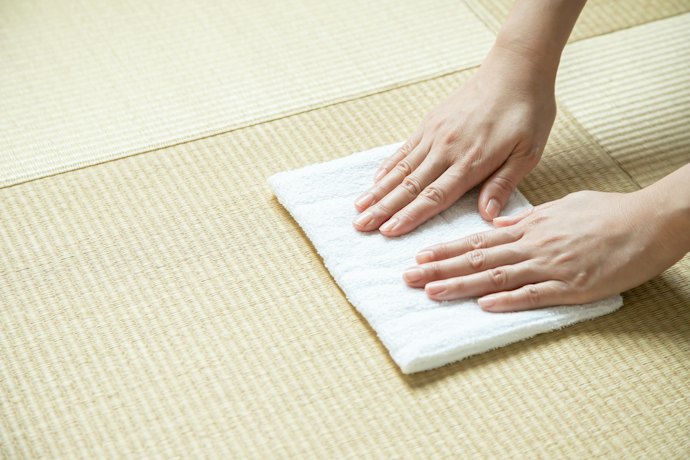 畳ベッドにカビが生えたらどうすればいい?未然に防ぐ方法は?