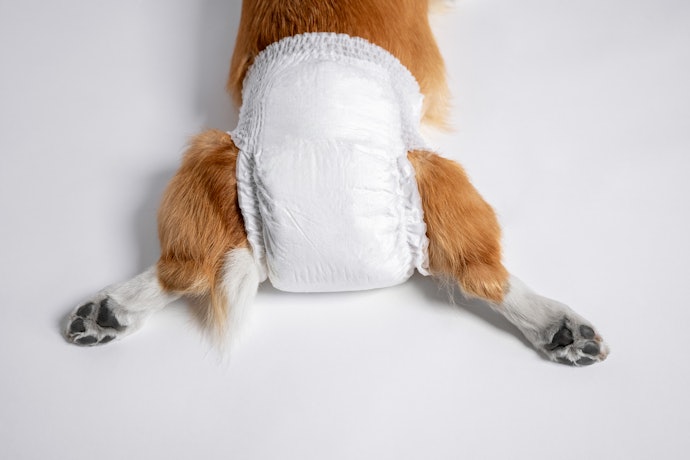 尿取りパッドを犬用として使ってもいいの?