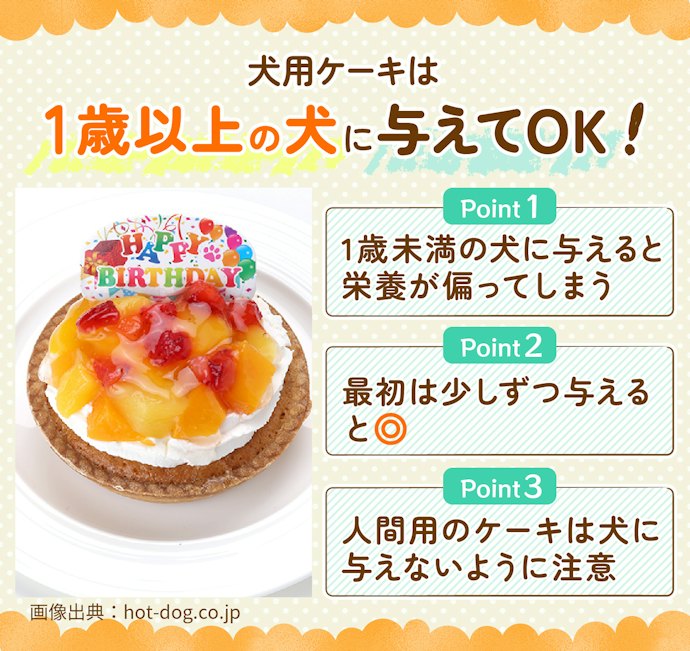犬用ケーキは手作りできる?注意点は?