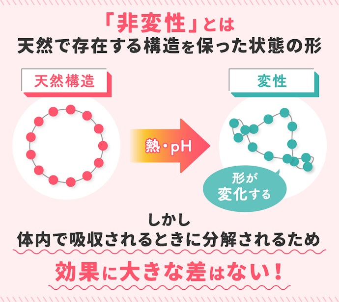 非変性プロテオグリカンとは?効果に関係するの?