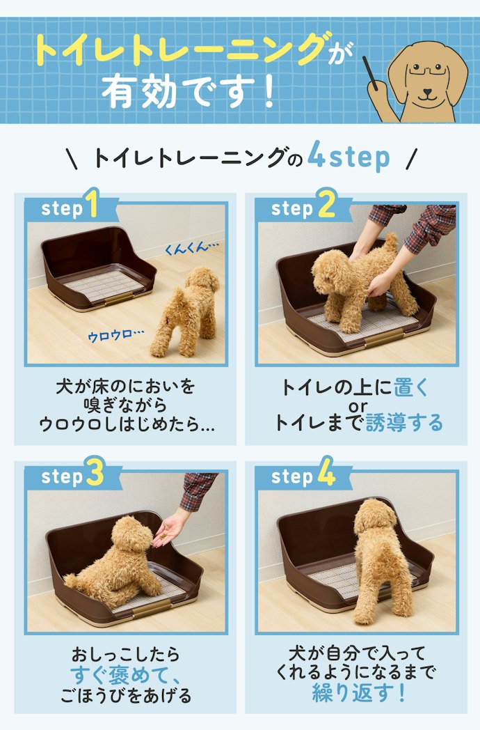 トイレを覚えさせるにはどうしたらよいの?