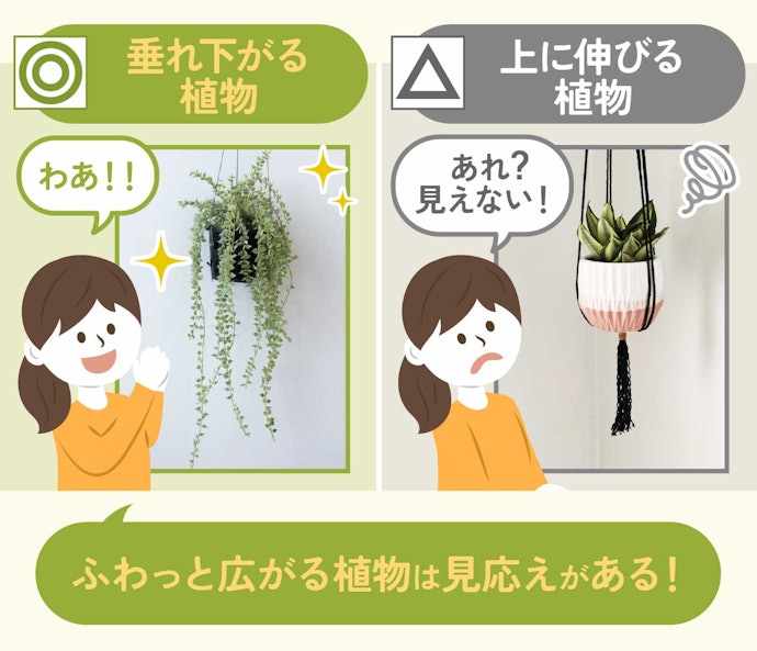 ハンギングに向いている植物と向いていない植物