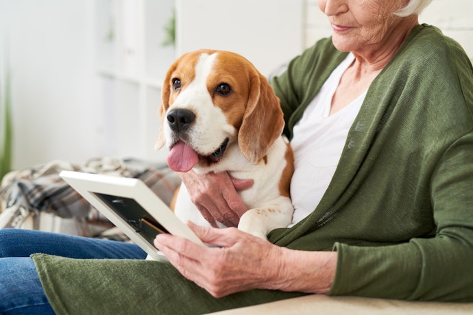 犬のペット保険は終身で加入できる?