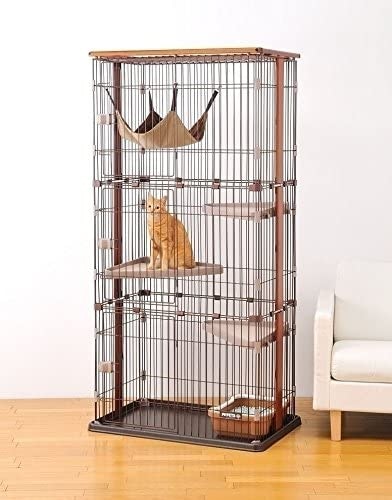 猫用3段ケージのレイアウトのポイントは?