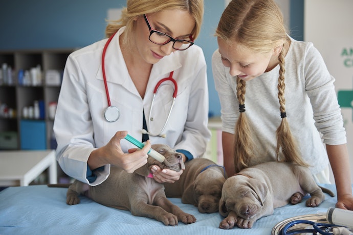 子犬がミルクを飲まない!原因・対処法は?