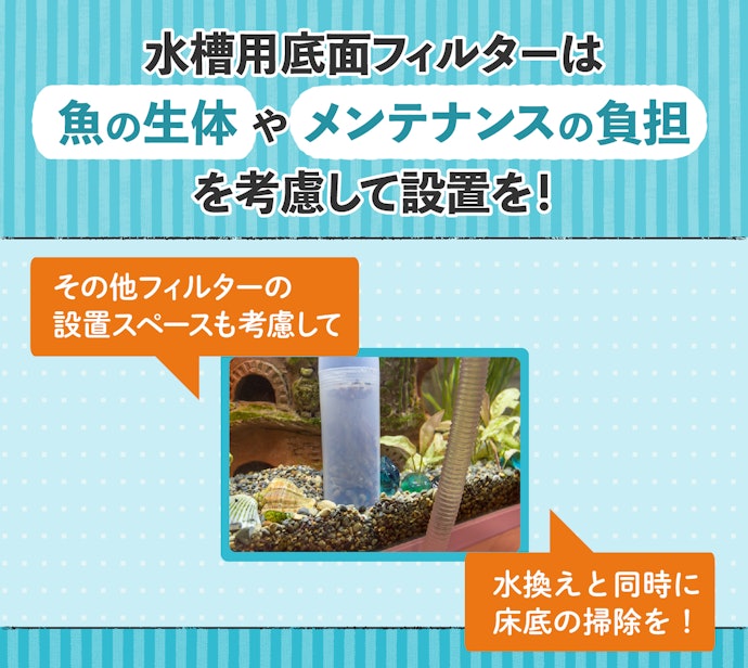 底面フィルターの使い方は?掃除はどのようにする?