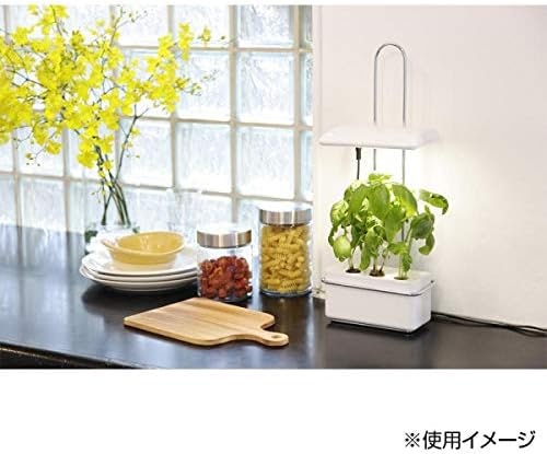 LEDの点灯時間と置く場所はどう決める?