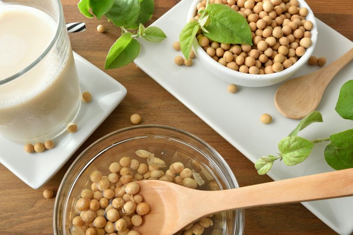 豆腐は自分で作れる?便利な手作りキットも!