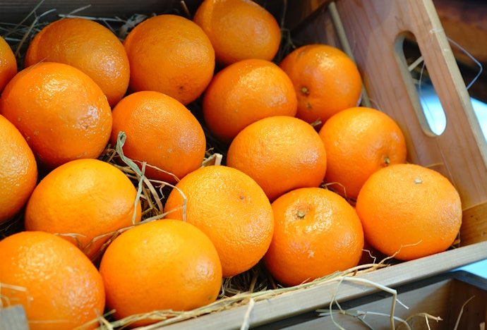 ふるさと納税の返礼品としても食べられる?