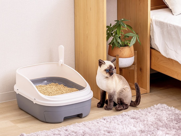 猫用トイレはどこに置く?ベストな設置場所は?
