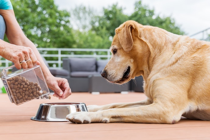 フードの切り替えはどうすればいい?