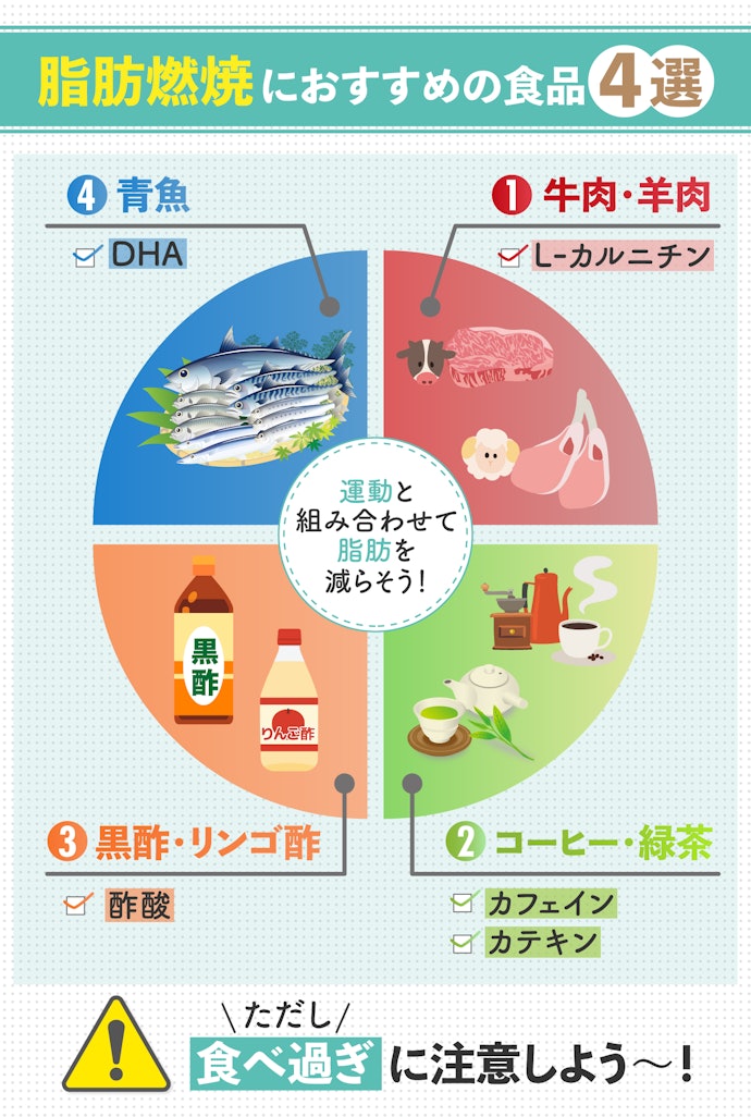 脂肪の燃焼・分解につながる食品は?