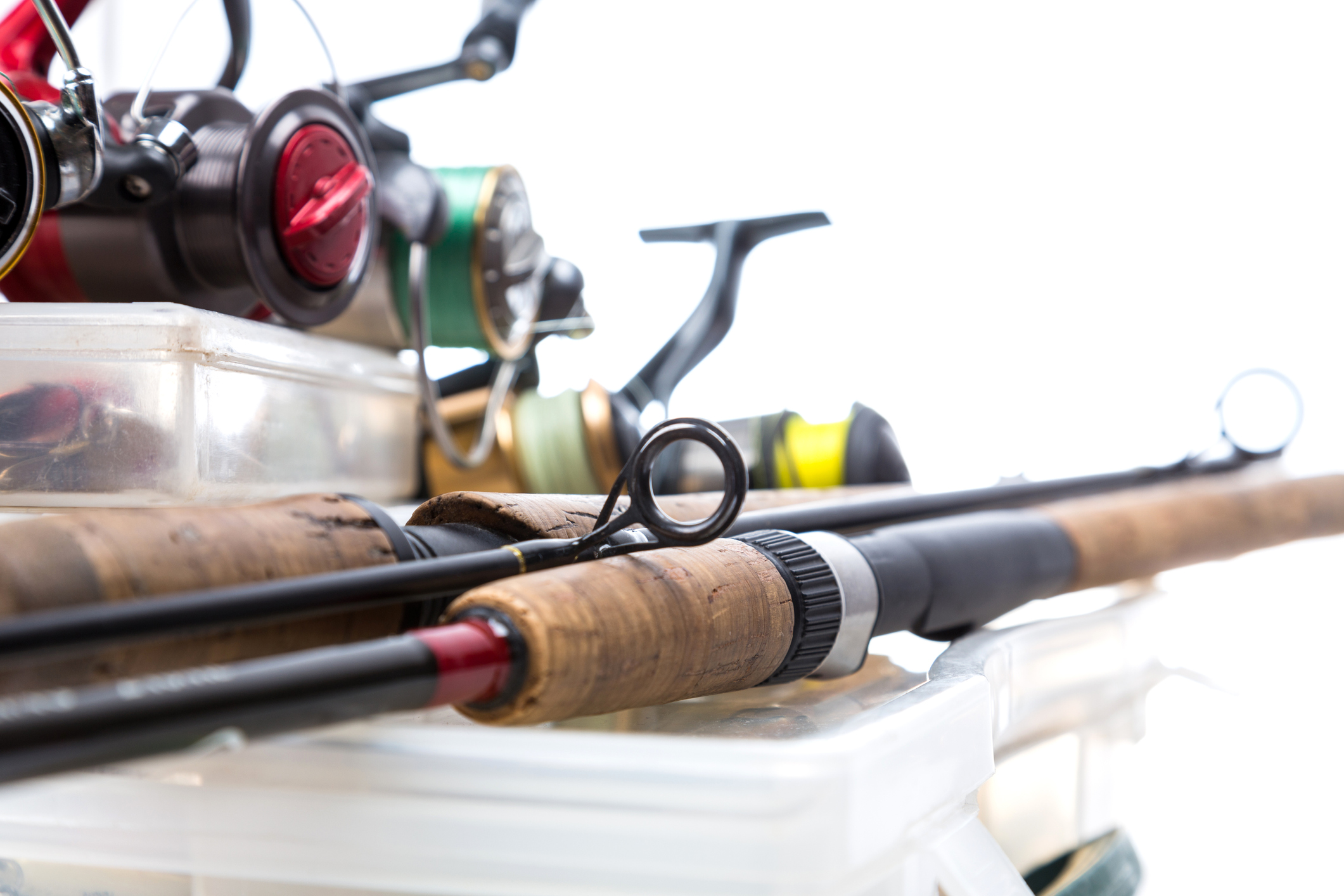 雷魚ロッドのおすすめ人気ランキング【2025年12月】 | マイベスト